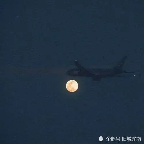 女生头像高级感丧系微信