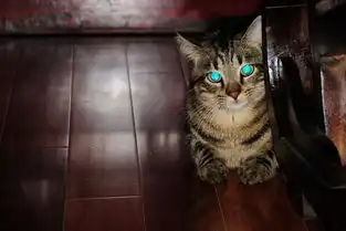 是我是我还是我