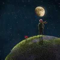 戴皇冠的小王子头像