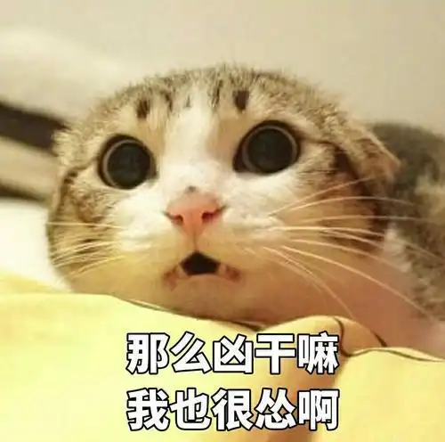 微信头像卡通人和猫冷知