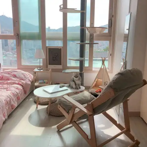 一人两猫,独居26㎡一不开心就挪家居,这北欧风太有治愈力了