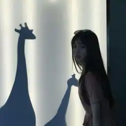 这张图片是什么意思