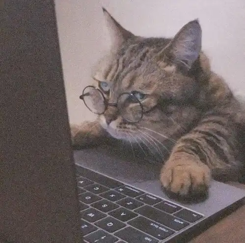 精选系列头像2020年学到了很多道理,但其中最有用的只有两条放过自己和拜托平安