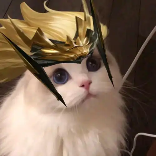 王者荣耀猫猫头像图