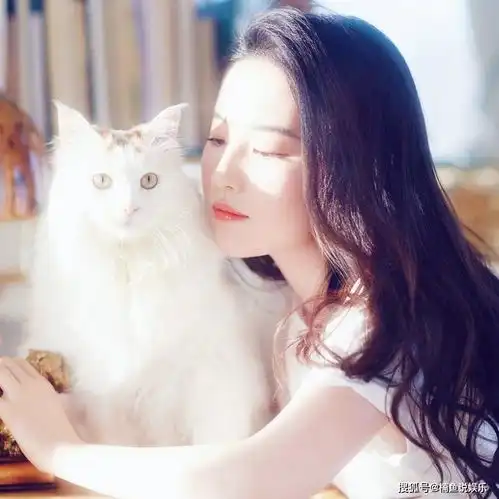 当明星遇上猫,刘亦菲高圆圆秒变猫奴,看完只想成为胡歌怀里的猫