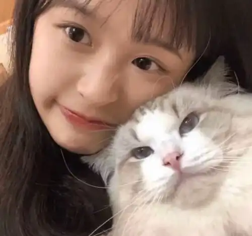 抱小猫的女生头像图片治