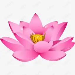 矢量手绘粉色莲花素材图片免费下载高清装饰图案psd千库网图片编号5328026