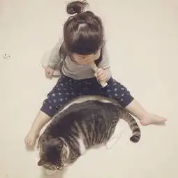 绝对治愈系照片孩子与猫咪的日常生活