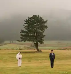 新人必追的5个韩国风景系婚纱ig帐号