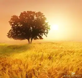 却道天凉好个秋暖秋的余味学拍风光摄影套图第7张