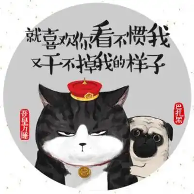 猫猫狗狗都来和领克做朋友啦