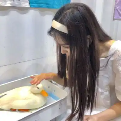 苏瓷对象不是人系列唯美可爱微信头像我要个性网