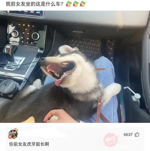 神回复假如我在三星堆里随便拿两个文物,能换一辆宝马5系吗