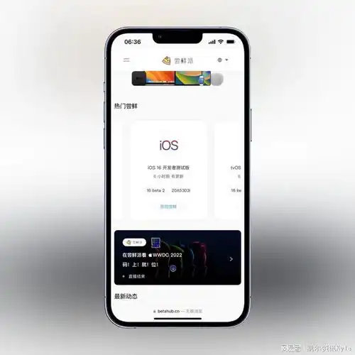 ios系统比安卓更省心不吹不黑,实测苹果三星oppo手机看结果
