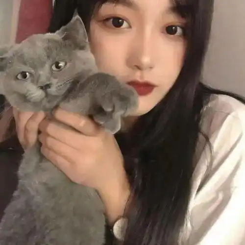 头像图片丨女生头像丨可爱的猫系女头1214