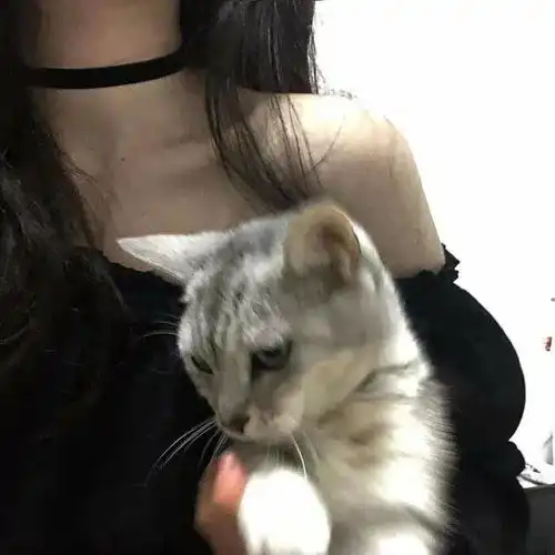 头像图片丨女生头像丨可爱的猫系女头1214