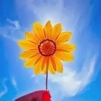 积极正能量的女生微信头像微信头像图片大全