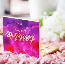 十款欧美热卖眼影大盘一盘走天下,盲买都不会错