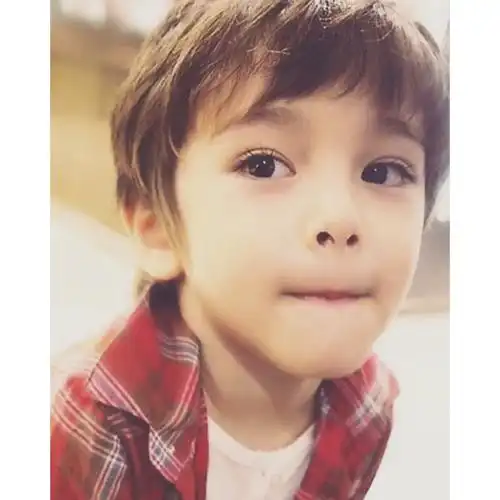 欢笑集锦这盆含羞草可能是不要脸