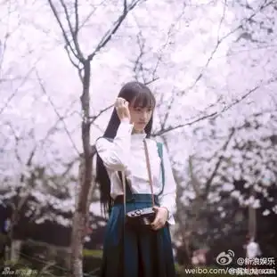 网络红人校花pk武大校花清纯华师女神系学霸