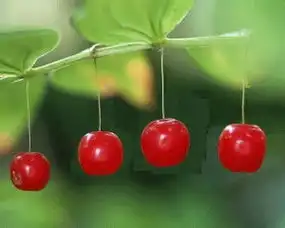 xintairuan图片分类下的所有日志mtime时光网