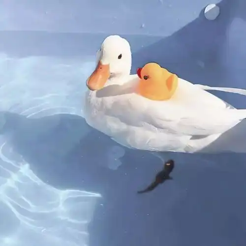 60张朋友圈背景图