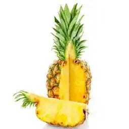 单个菠萝水粉画图片