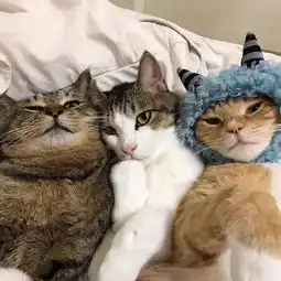 你们大半夜不睡觉在朋友圈发这些