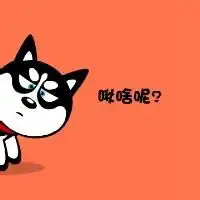 动漫抱哈士奇头像微信头像图片大全