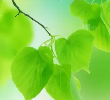 你以为的养生,其实是假的,真正的养生只有两个字