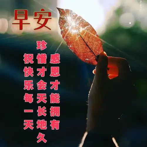 虎年202022早晨好动态图2022最新早晨好问候表情动画合集