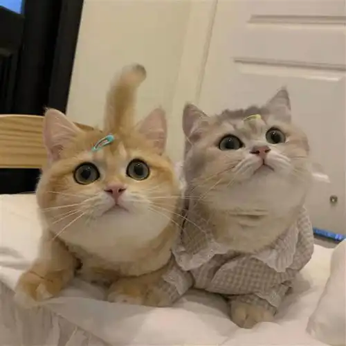 写给普通女生的50条省钱小技巧