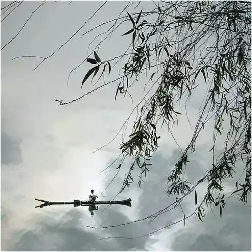 你被哪个当代艺术作品感动过或者震撼过