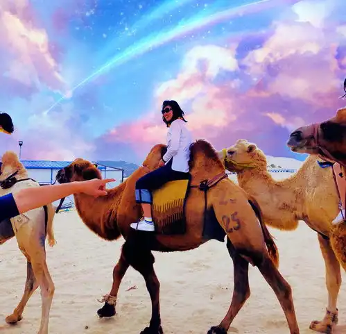 小女子裣衽辞行去看蓝天大海草原星空