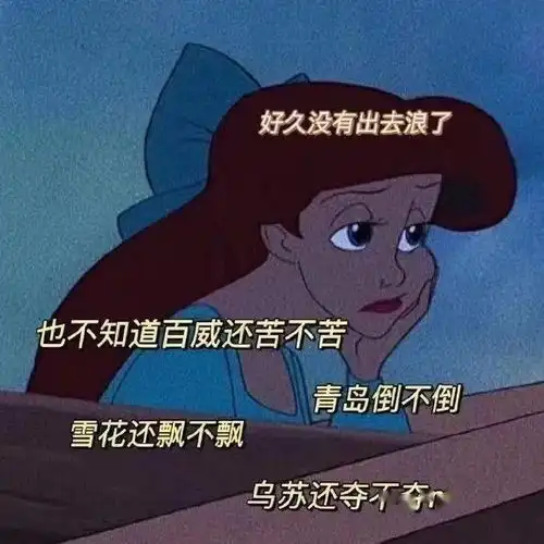 每日沙雕表情包