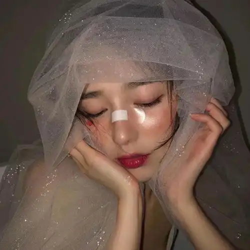 女生头纱头像前途似海,来日方长