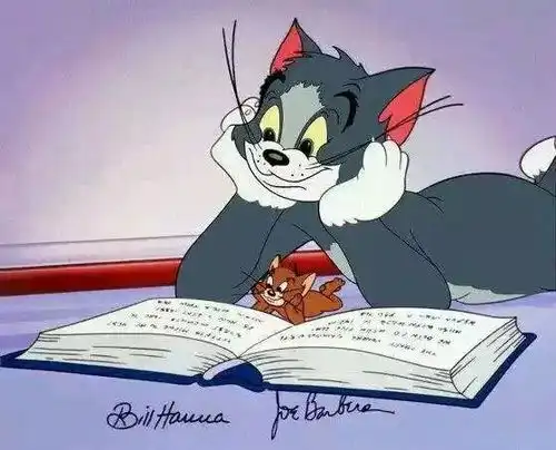 我最开始想养猫,居然是因为一只假猫