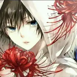 这是男头还是女头