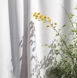 人心太软,下场太惨