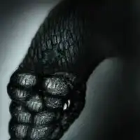 很酷很霸气的动物头像