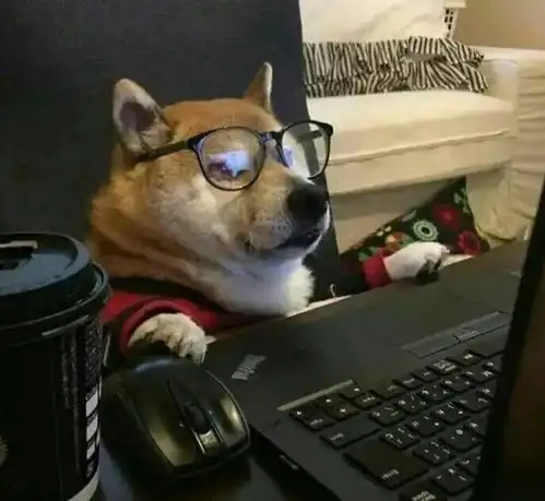 什么人不适合养宠物,这四类人最好来看看