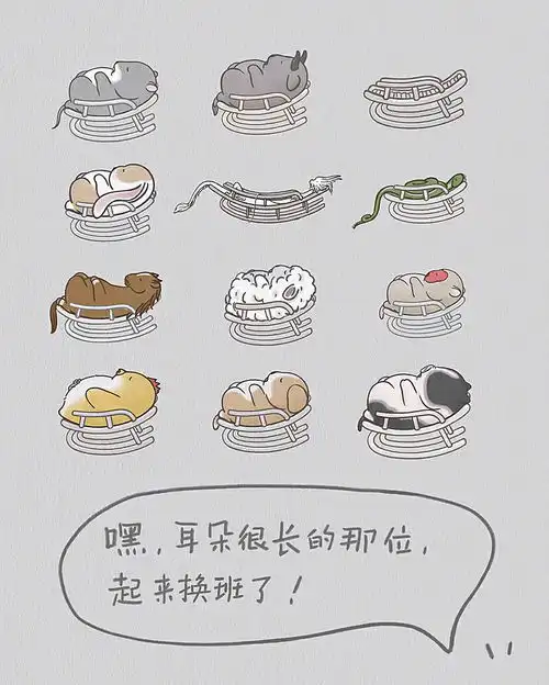 去年跨年爬墙虎,今年跨年爬墙兔来啦