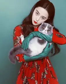 范冰冰终于复出成功拿下代言,看到代言产品后,网友立马不淡定了