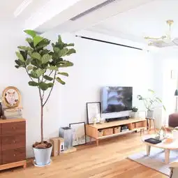 盐系风格展现的是一种脱俗雅致的装饰