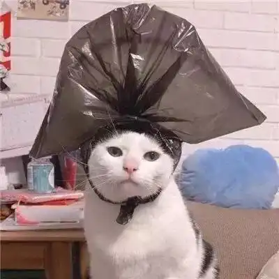 情侣头像,不努力才觉得努力没有用