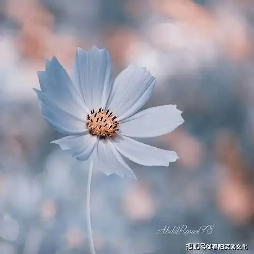 适合做人生格言的句子,一般人读不懂