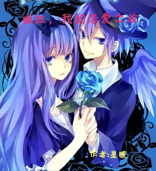 小说疯狂我的恋爱之旅