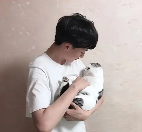 情头,很想说声我想你了