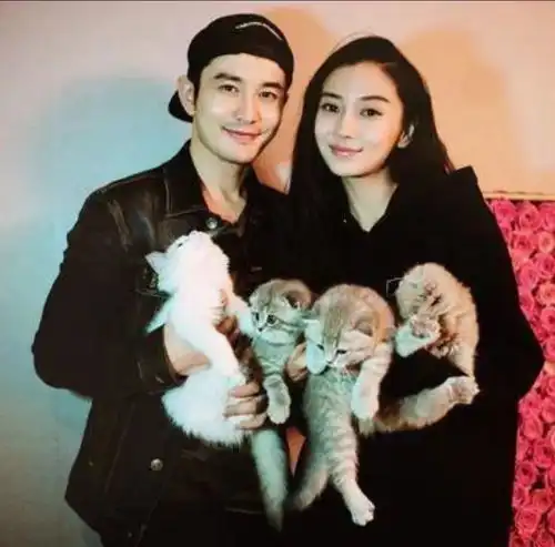 真离了黄晓明杨颖官宣离婚,情变早有预兆,网友公开喊话李菲儿