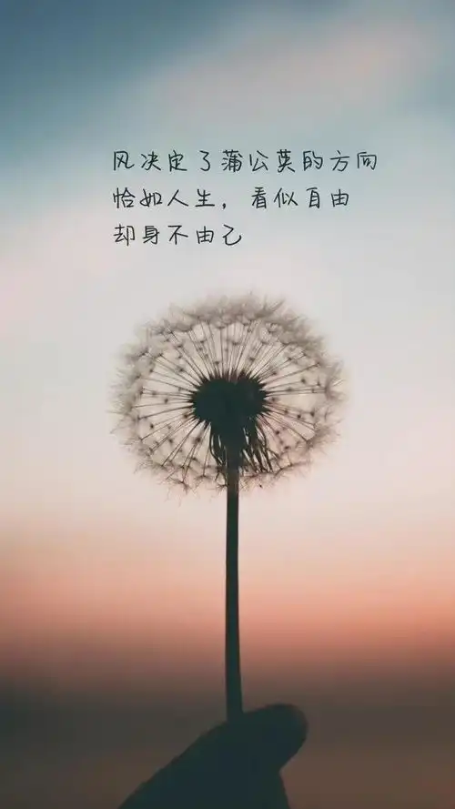 壁纸治愈系文案